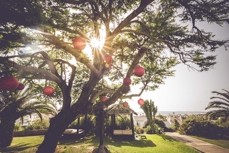 acacia centenaria del hotel el cortijo de zahara
