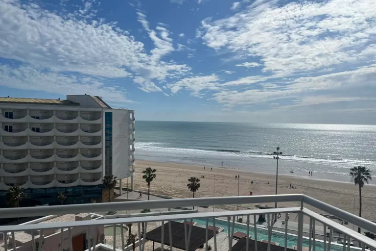 rosamontero-R3Fyj1PnJkWu5x3mHD6kuUP-1200×840@abc